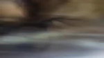 shaved pussy gf fucked in both hole