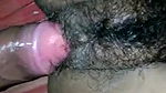 hairy village girl sex mms