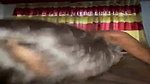 dusky girl fucked after bj