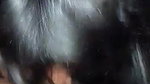 Bhabhi blowjob with clear talking
