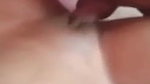 shaved pussy teen gf fucked