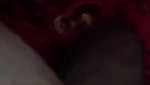 Cute GF Fucked By Lover