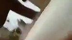 bf ne chut chati