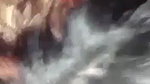 devar bahbhi sex