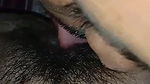 Hairy Indian pussy licking MMS video