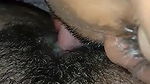 Hairy Indian pussy licking MMS video