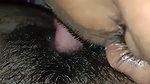 Hairy Indian pussy licking MMS video