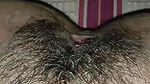 Hairy Indian pussy licking MMS video