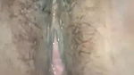 Hairy Indian pussy licking MMS video