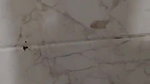 bathroom mein lund chuske maj diya