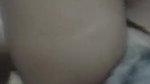 cute gf fucked