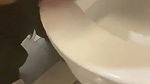 beautiful girl lick toilet seat