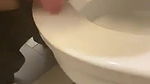 beautiful girl lick toilet seat
