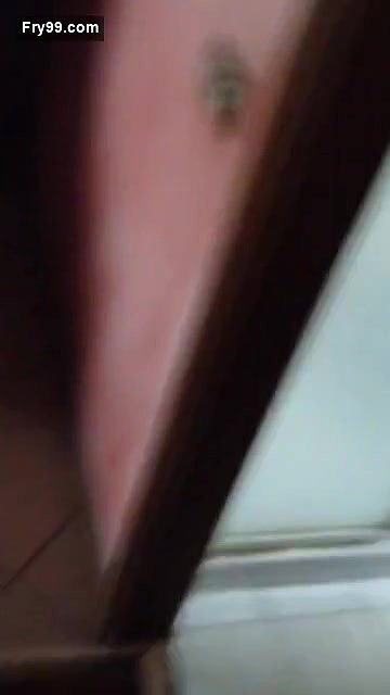 Cute punjaban sucking 1st time with clear Punjabi talking