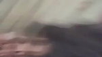 Desi Lover Fucking
