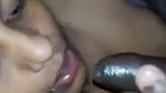 Tamil couple blowjob sex video