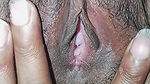 hairy pussy showing