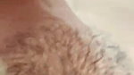 Indian sexy girl fucking mms scandal