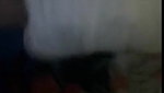 Busty chubby Bhabhi Pakistani sex MMS