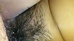 hairy pussy gf fucked