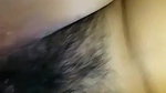hairy pussy gf fucked