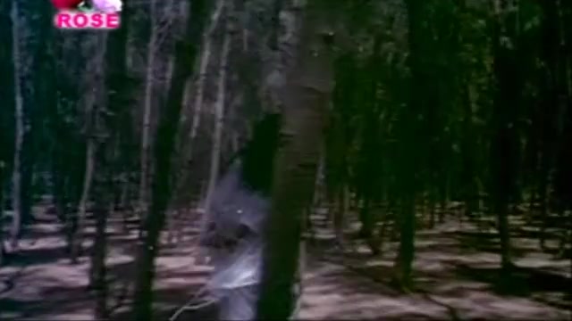 Frame 10