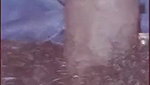Desi hot couple fucking n cum