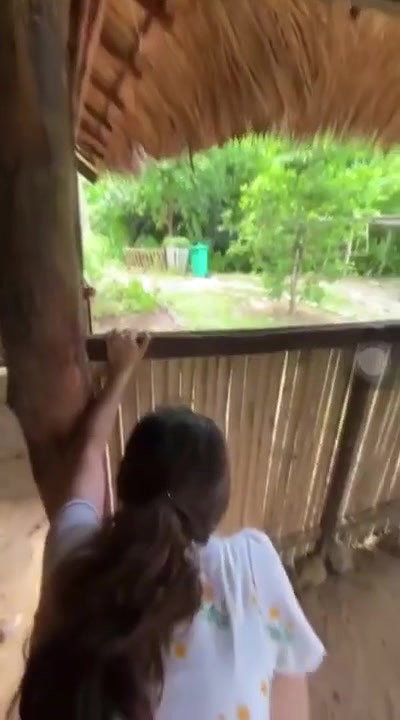 outdoor sex