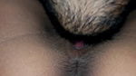 Closeup Desi pussy licking video, he ate all the cum