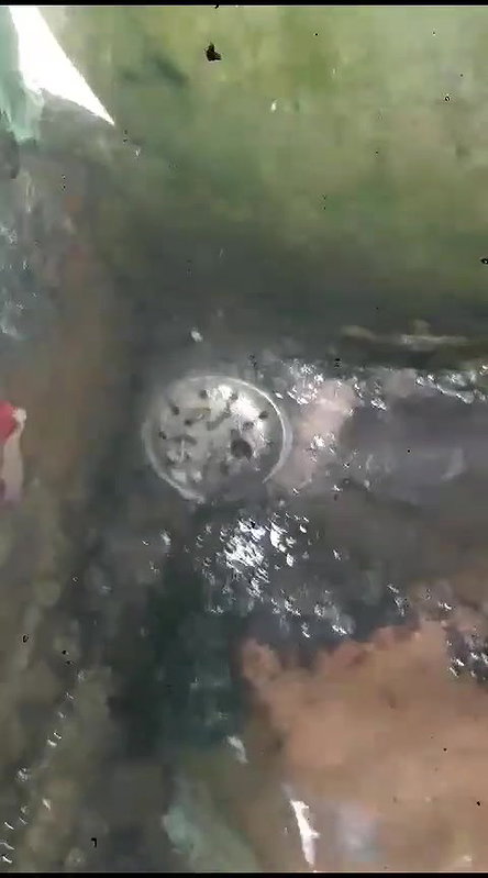 VID 20230901 WA0067