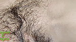 Desi Yogita Bhabhi ko condom lagake khub choda