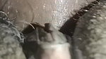 Fucking A teen angal girl after completion