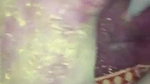 Bhojpuri Holi sex video leaked