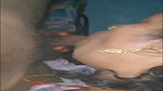 Hot sex 2425680S