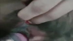 Pussy 260404153342