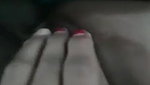 Pussy 260404153342