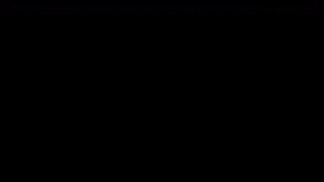 VID 13225331