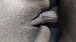 Hot Indian Girlfriend Pussy Fuck