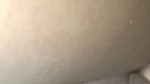 Rubbing dick on pussy by husband