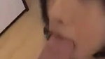 Asian girl sucking dick