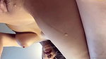 seltin sweety 0488