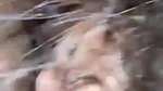 Srilankan virgin girl blowjob to boyfriend dick viral MMS