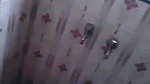 Bangladeshi couple bathroom sex MMS