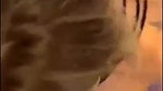 5E4X7bLQ 720p