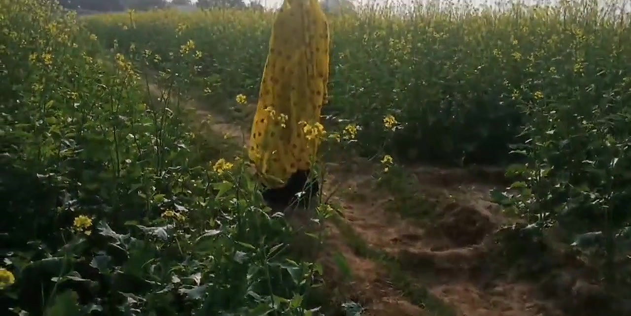 Mamta bhabhi ko khet me le jakar doggystyle me choda outdoor
