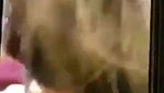 snap blowjob