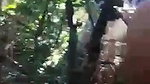 jungle mein ladki ne kri lund ki sawari