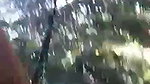 jungle mein ladki ne kri lund ki sawari