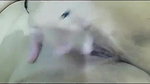 pussy rubbing