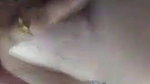 curvy desi girl chut ragdi